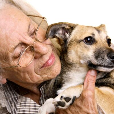 6 Reasons to Adopt a Rescue Animal