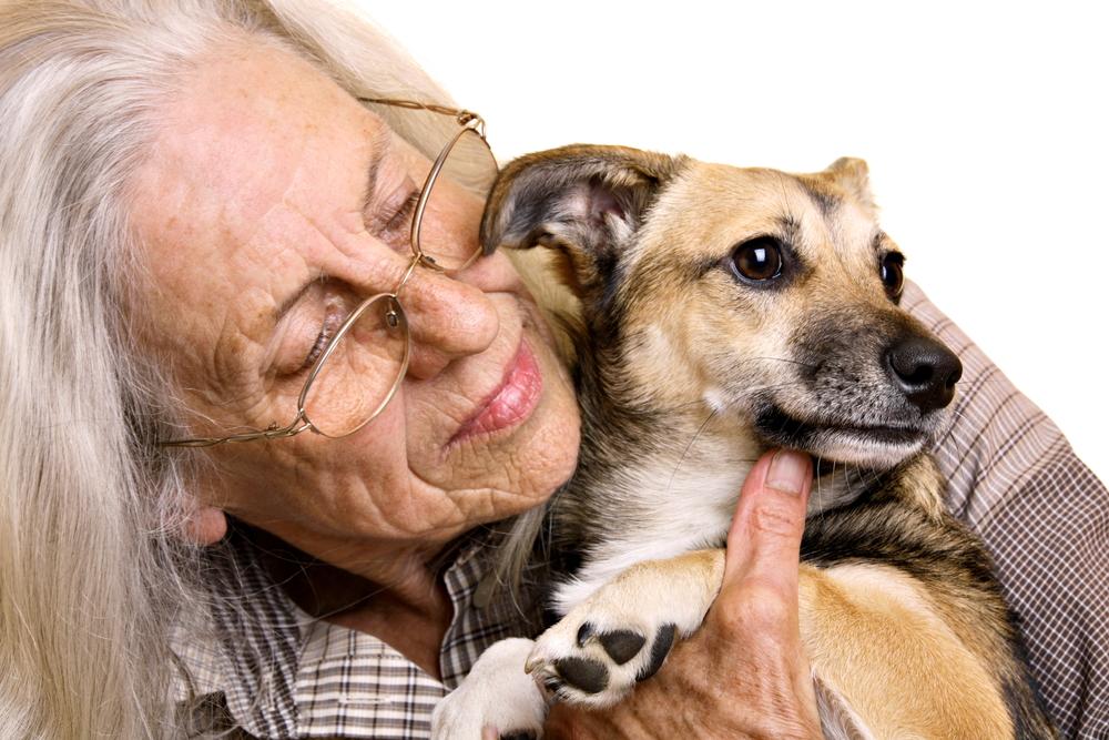 6 Reasons to Adopt a Rescue Animal