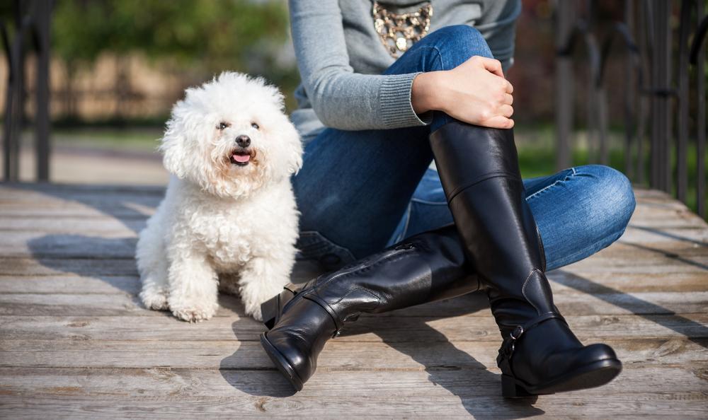 Stylish yet Practical Fall and Winter Boots