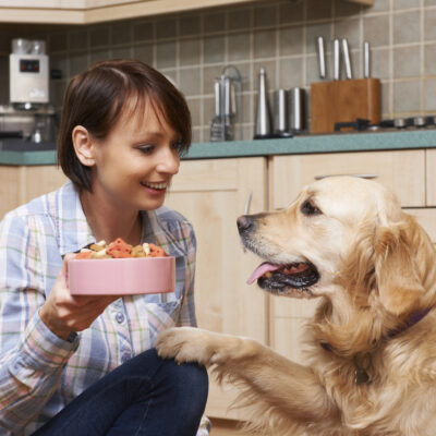 Causes and Symptoms of Food Allergies in Pets