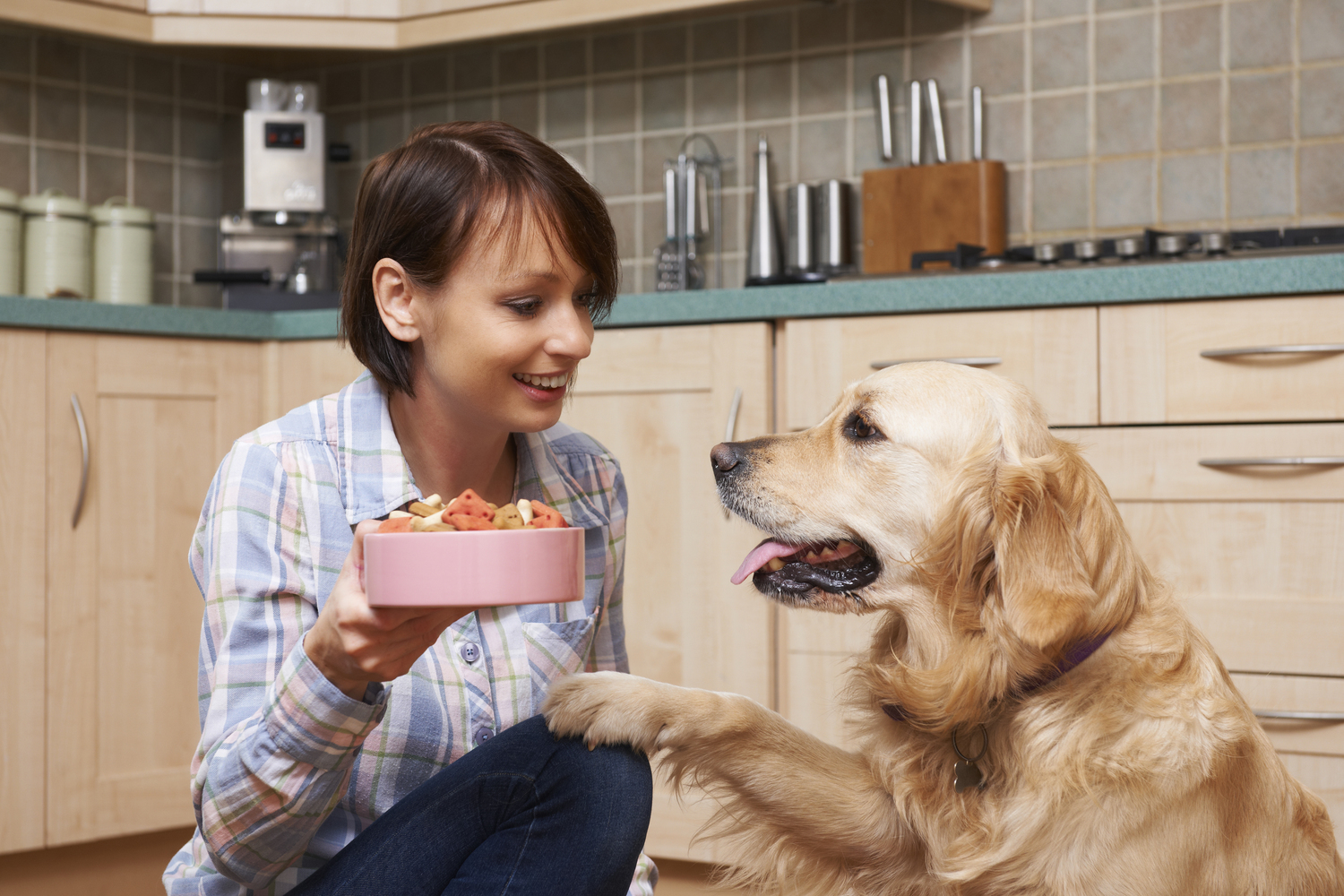 Causes and Symptoms of Food Allergies in Pets