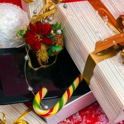 Holiday Gift Guide for Tech Lovers