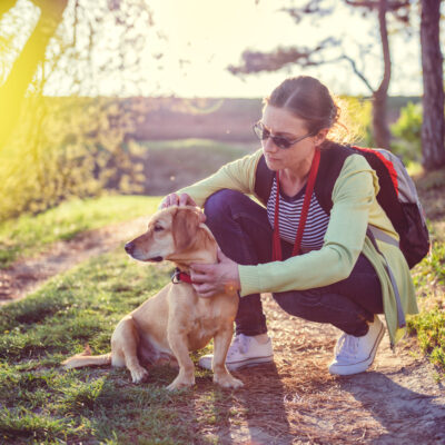 Here’s What You Need to Know About Pet Diseases