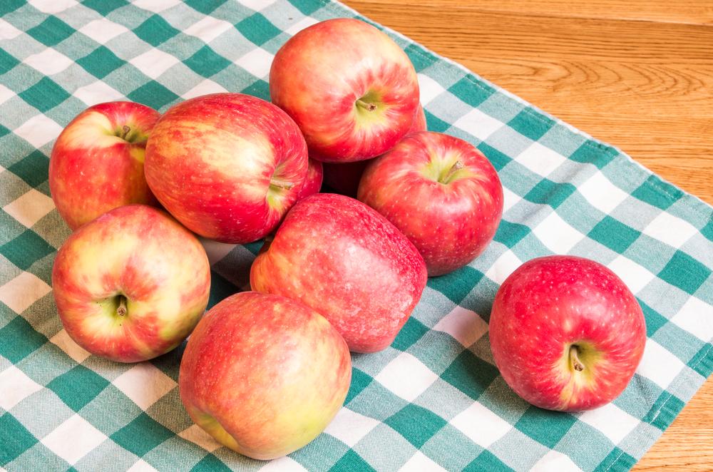 Top Healing Superfoods for Everyday Health